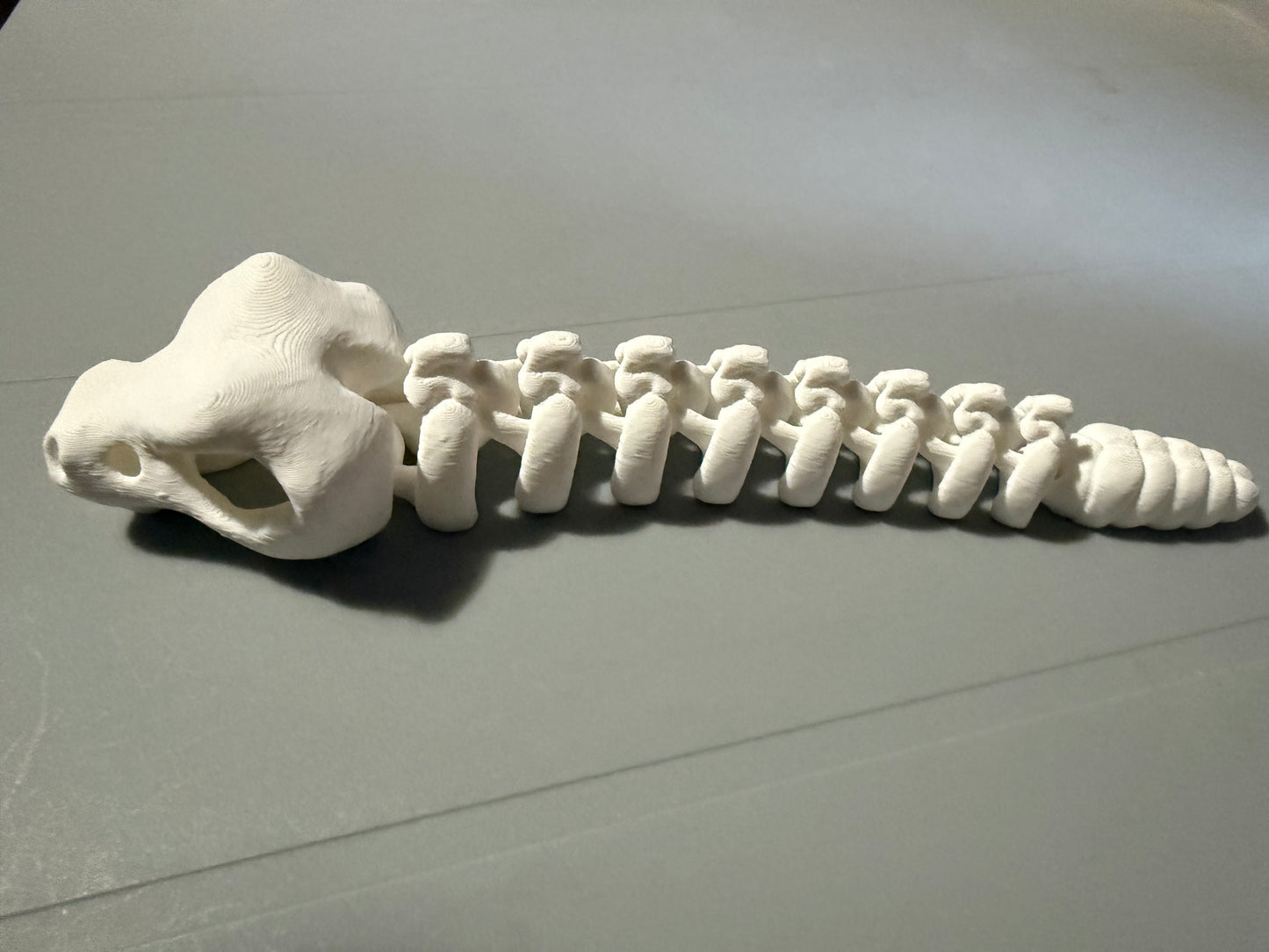 Tiny Bone Snake